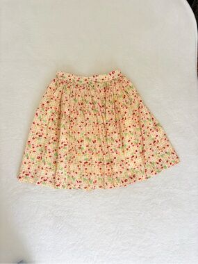 Hearts and Found Draper Skirt Fruit Medley Gingham Swing Women’s 10 Cotton